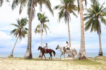 Kuwadra's Horse Trail Ride