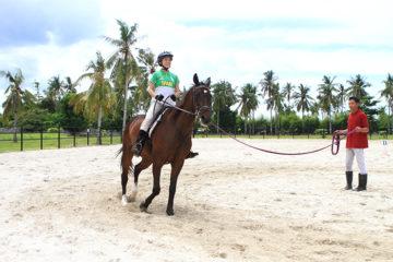 Kuwadra's Horse Riding Lesson