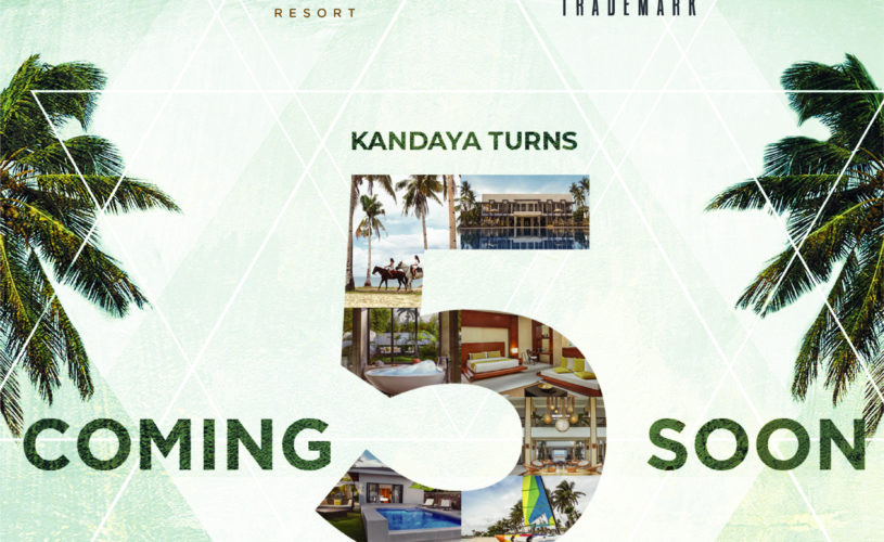 TIMAWA 2019